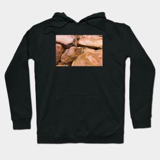 Big boulders on the beach Hoodie